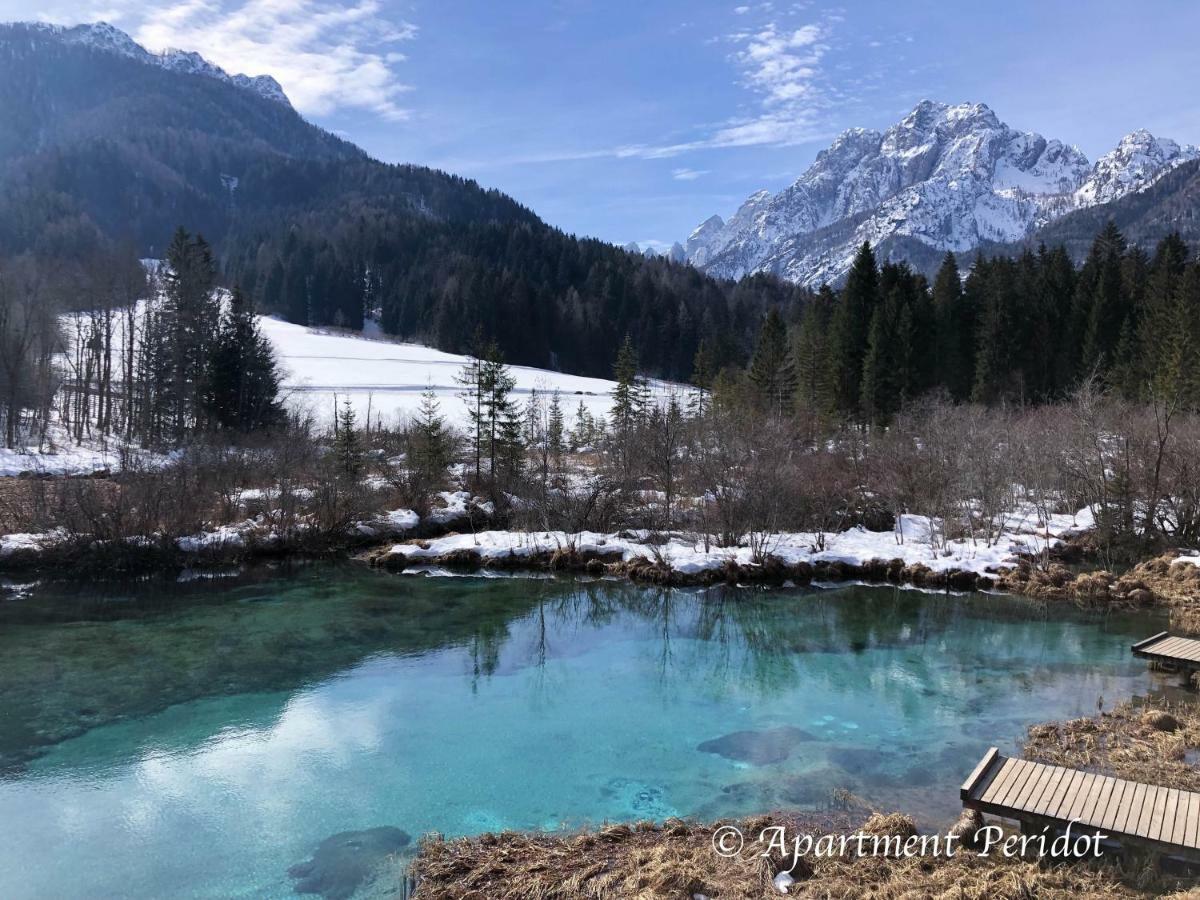 Vila Mojca Apartma Peridot - Center Kranjska Gora Exteriör bild