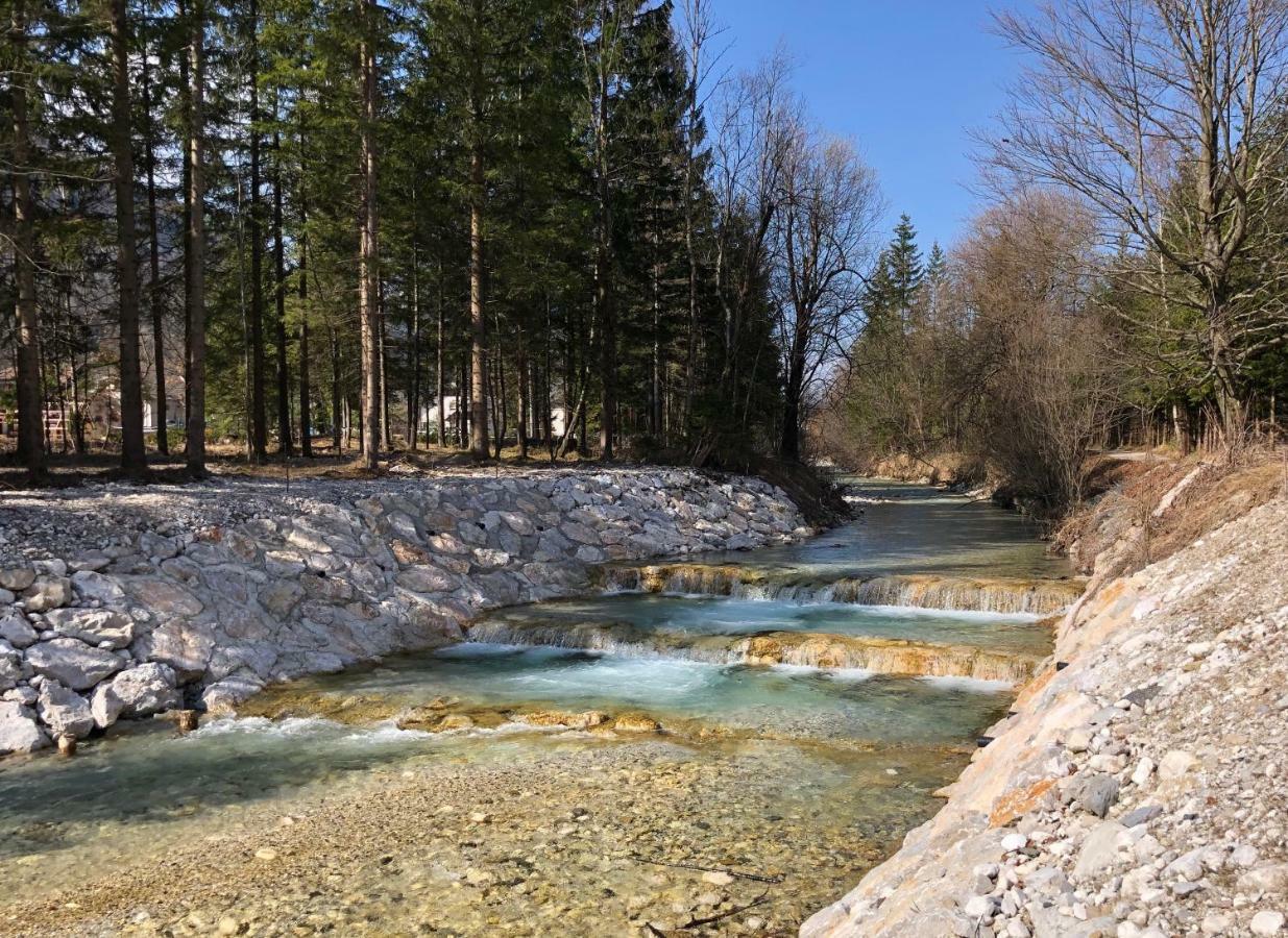 Vila Mojca Apartma Peridot - Center Kranjska Gora Exteriör bild