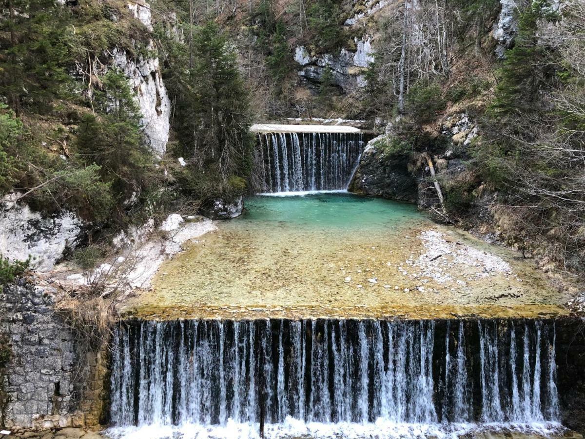 Vila Mojca Apartma Peridot - Center Kranjska Gora Exteriör bild