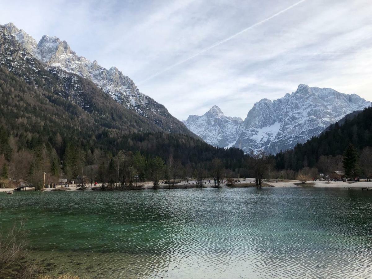 Vila Mojca Apartma Peridot - Center Kranjska Gora Exteriör bild