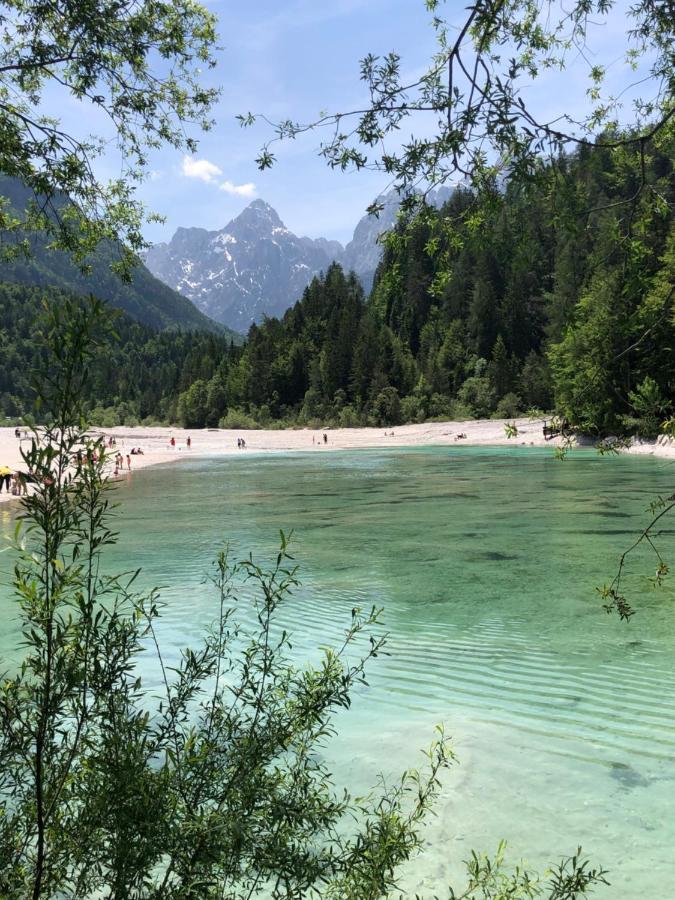 Vila Mojca Apartma Peridot - Center Kranjska Gora Exteriör bild
