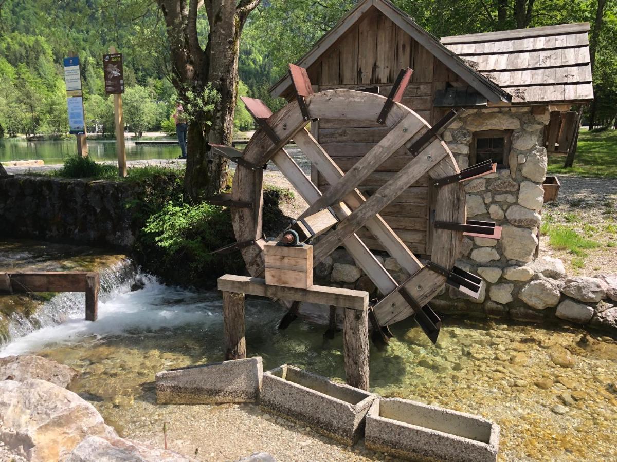 Vila Mojca Apartma Peridot - Center Kranjska Gora Exteriör bild
