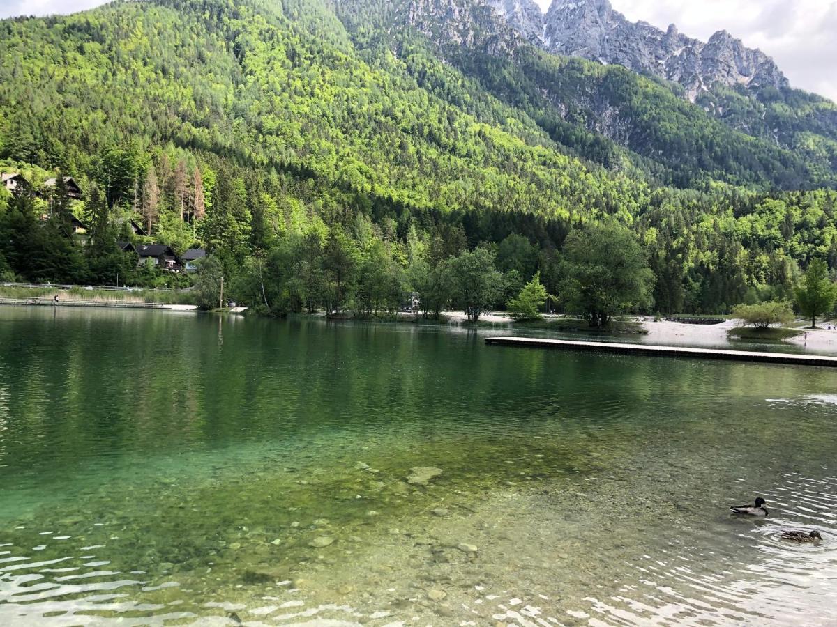 Vila Mojca Apartma Peridot - Center Kranjska Gora Exteriör bild