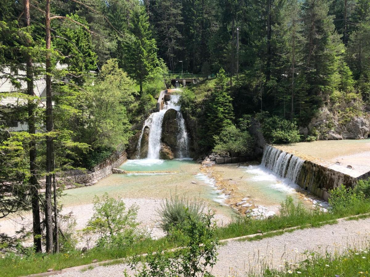 Vila Mojca Apartma Peridot - Center Kranjska Gora Exteriör bild