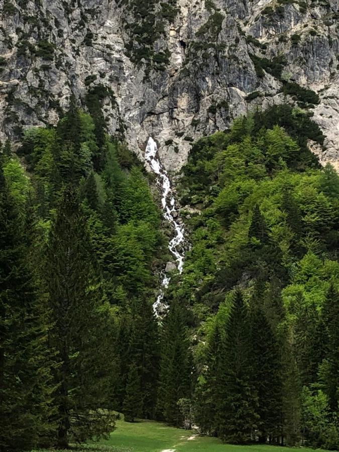 Vila Mojca Apartma Peridot - Center Kranjska Gora Exteriör bild